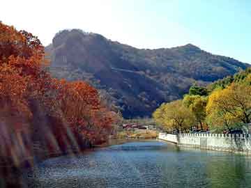 四肖期期準(zhǔn)四肖期準(zhǔn)開,詮釋解析落實(shí)_創(chuàng)意版91.948