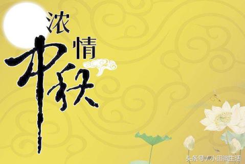 澳ⅰ門天天好彩,準(zhǔn)確資料解釋落實(shí)_完整版2.18