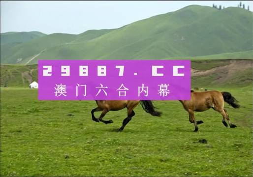 澳門最精準(zhǔn)正最精準(zhǔn)龍門客棧圖庫,全面評估解析說明_標(biāo)準(zhǔn)版99.896