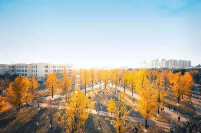 2024新奧精準(zhǔn)正版資料,科學(xué)依據(jù)解釋定義_QHD66.528