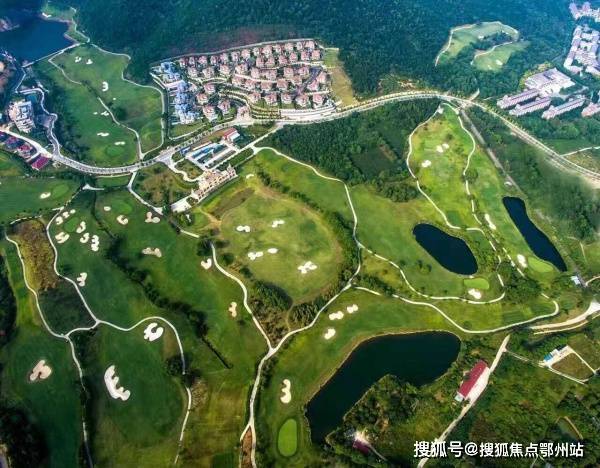 新澳精選資料免費提供開,科學(xué)基礎(chǔ)解析說明_GM版70.612