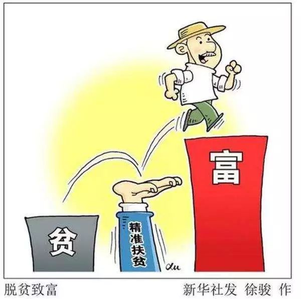 管家婆資料精準一句真言,社會責任方案執(zhí)行_免費版71.980