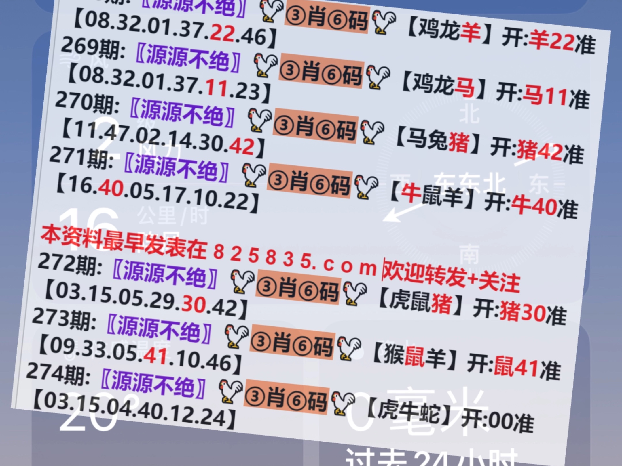 2024新澳門(mén)開(kāi)獎(jiǎng)記錄,實(shí)踐分析解釋定義_微型版31.643
