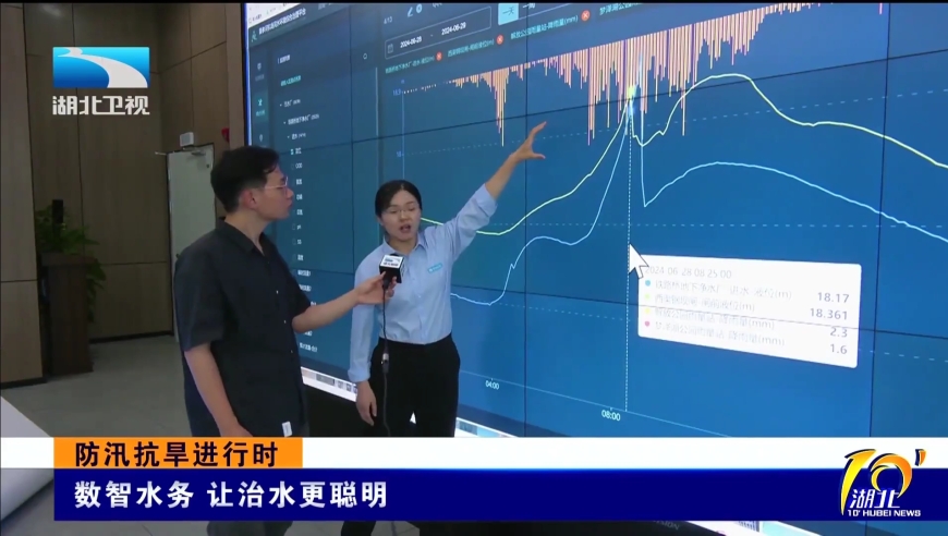 2024新澳免費資料大全精準版,合理決策評審_理財版10.645