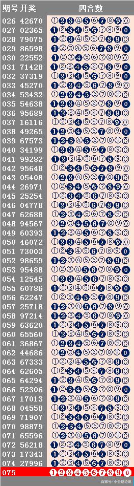 246天天天彩天好彩944cc,適用性策略設計_策略版81.284
