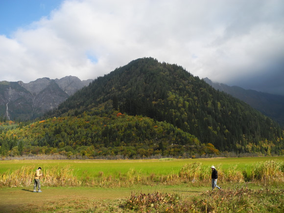 六資料澳門免費(fèi),最新動(dòng)態(tài)方案_終極版49.699