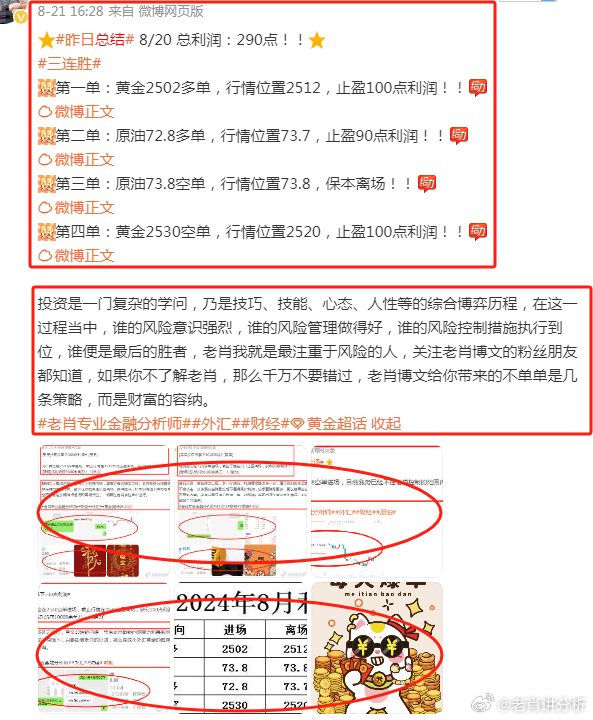 澳門管家婆100%精準(zhǔn),重要性解釋落實(shí)方法_限定版76.832